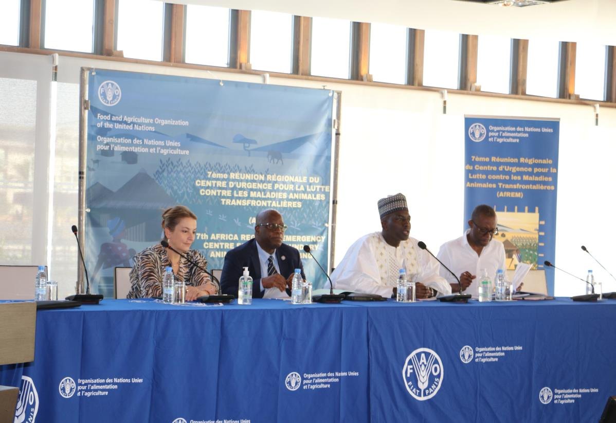 FAO ECTAD Africa celebrated its 7th regional meeting