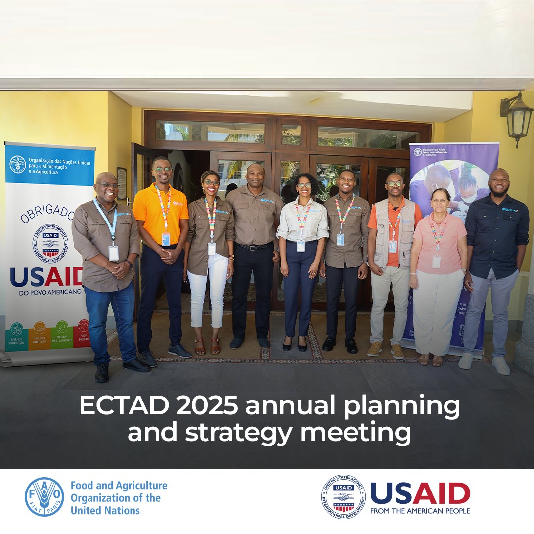 FAO Mozambique plans the path for stronger animal health interventions